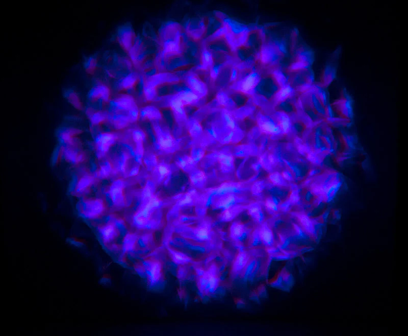 Aqua LED 2 - Image 5