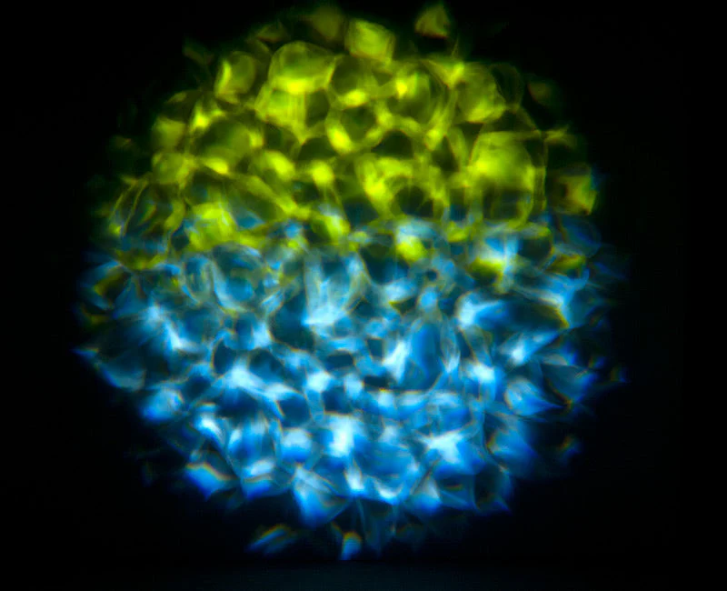Aqua LED 2 - Image 7