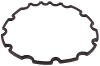 BACK SEAL RING FOR ENCORE BURST 100 IP