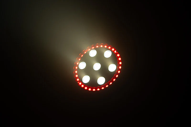 LP 8R - Image 13