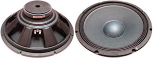 WOOFER FOR ELS GO 15BT